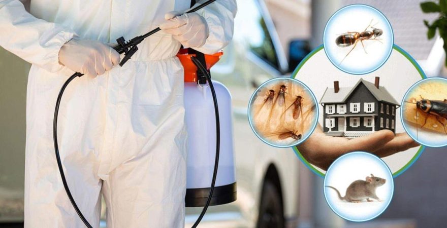 Ulukent Böcek İlaçlama