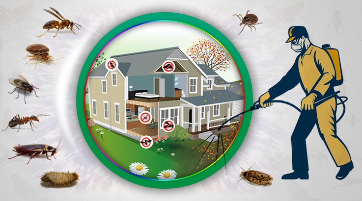 Ulukent Böcek İlaçlama