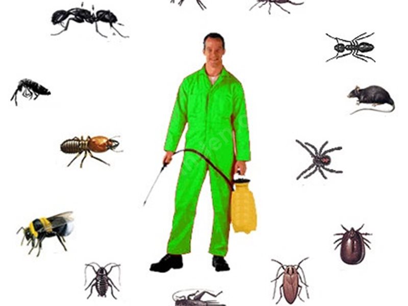 Ulukent Böcek İlaçlama